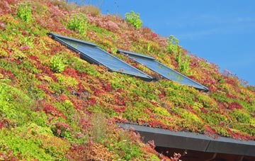Worsthorne living roof systems