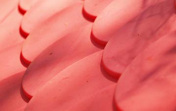 Worsthorne plastic roof costs