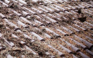 Worsthorne roof cleaning companies